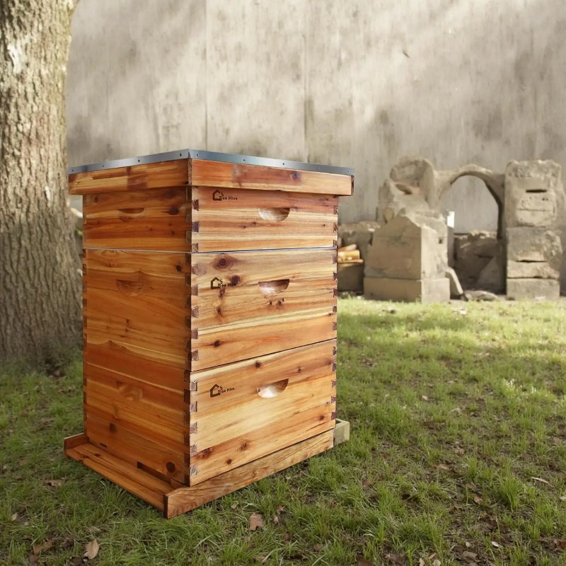 Beehive Frame Wax - Kit completo de colmena de 10