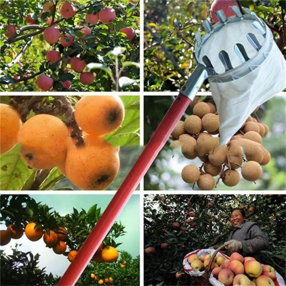Farming Agriculture Tools - Recolector de frutas de hierro galvanizado