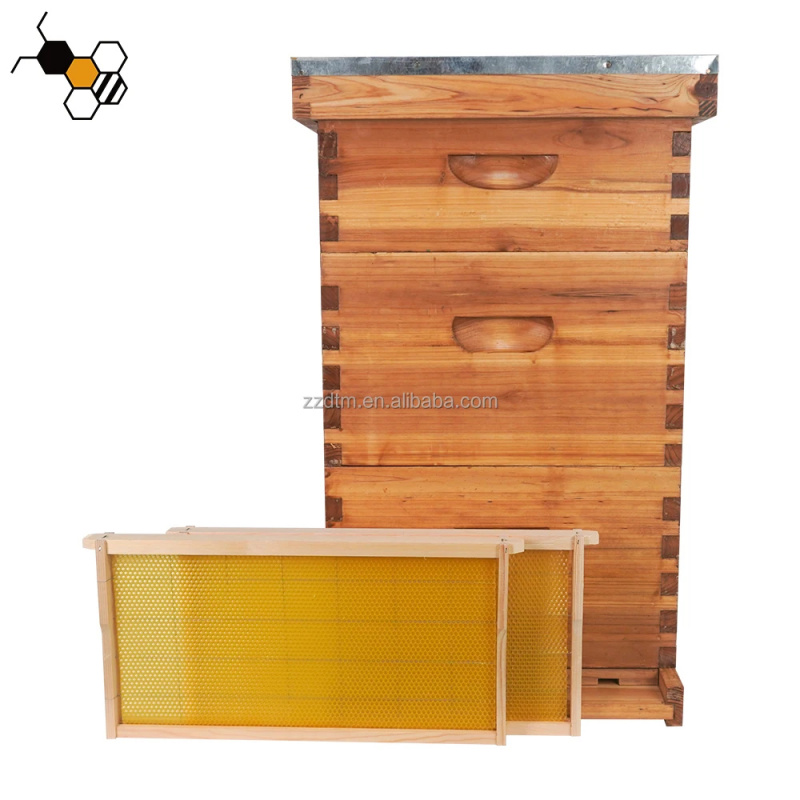 Beehive Frame Wax - Kit de Colmena de Abejas de