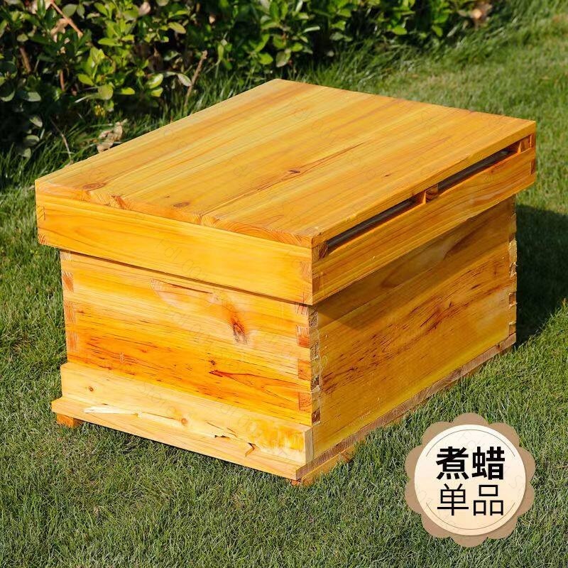 Beehive Frame Wax - Kit Completo de Colmena con 10