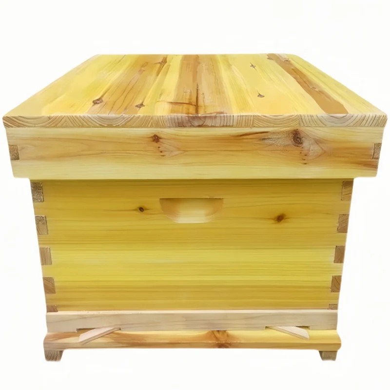 Beehive Frame Wax - Colmena de abejas en caja de