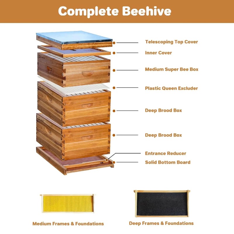 Kit completo de colmena de 10  - Beehive Frame Wax reseña y precio
