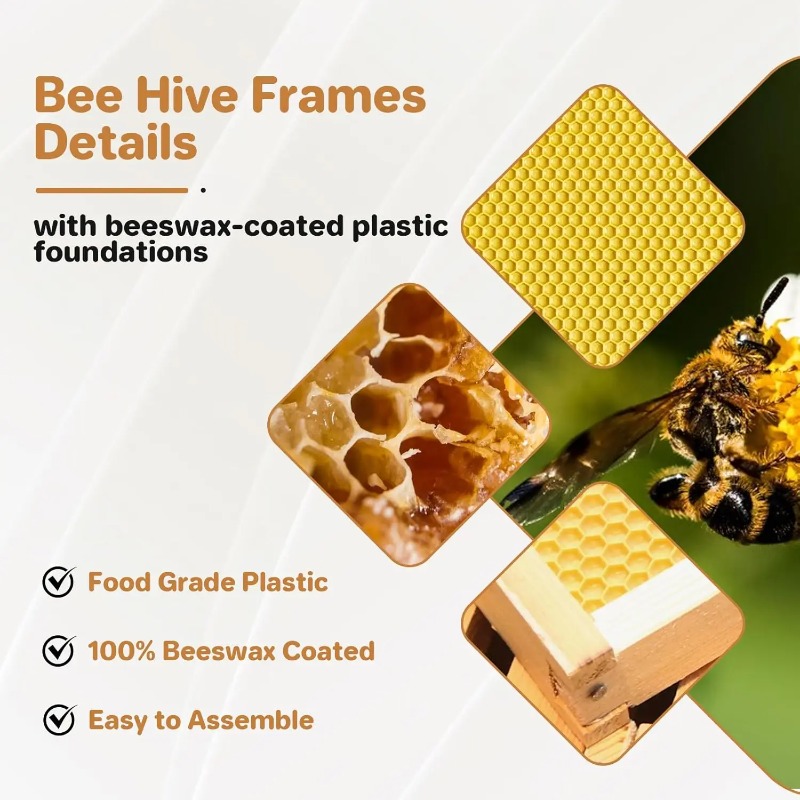 Kit completo de colmena de 10  - Beehive Frame Wax reseña y precio