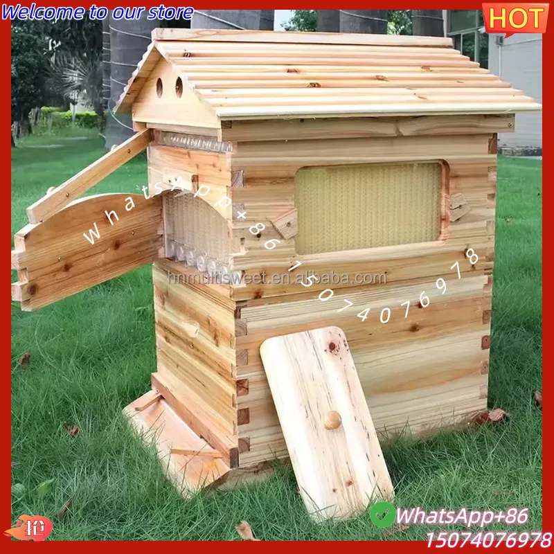 Colmena de abejas automática d - Beehive Frame Wax reseña y precio