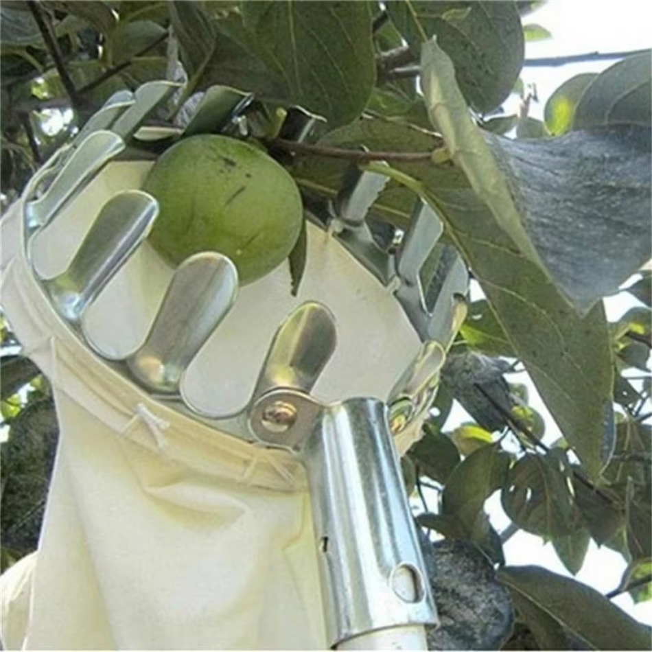 Recolector de frutas de hierro - Farming Agriculture Tools reseña y precio