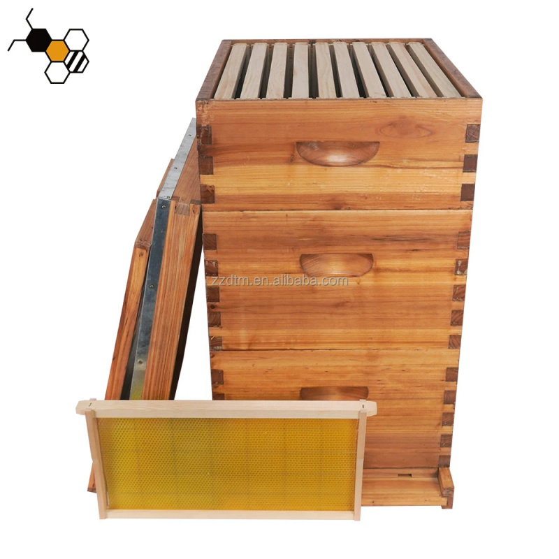 Kit de Colmena de Abejas de Al - Beehive Frame Wax reseña y precio