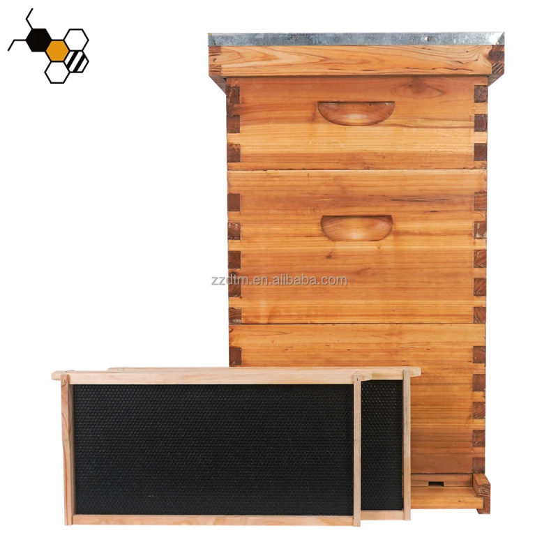 Kit de Colmena de Abejas de Al - Beehive Frame Wax reseña y precio