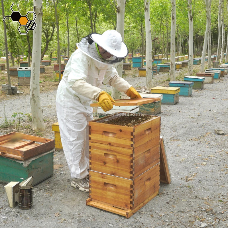 Kit de Colmena de Abejas de Al - Beehive Frame Wax reseña y precio