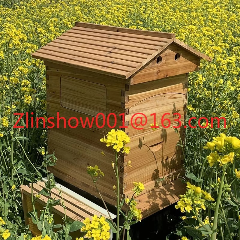 Colmena automática a precio de - Beehive Frame Wax reseña y precio