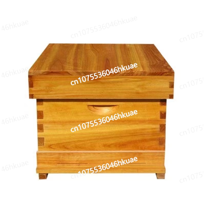 Colmena de abeja, juego comple - Beehive Frame Wax reseña y precio