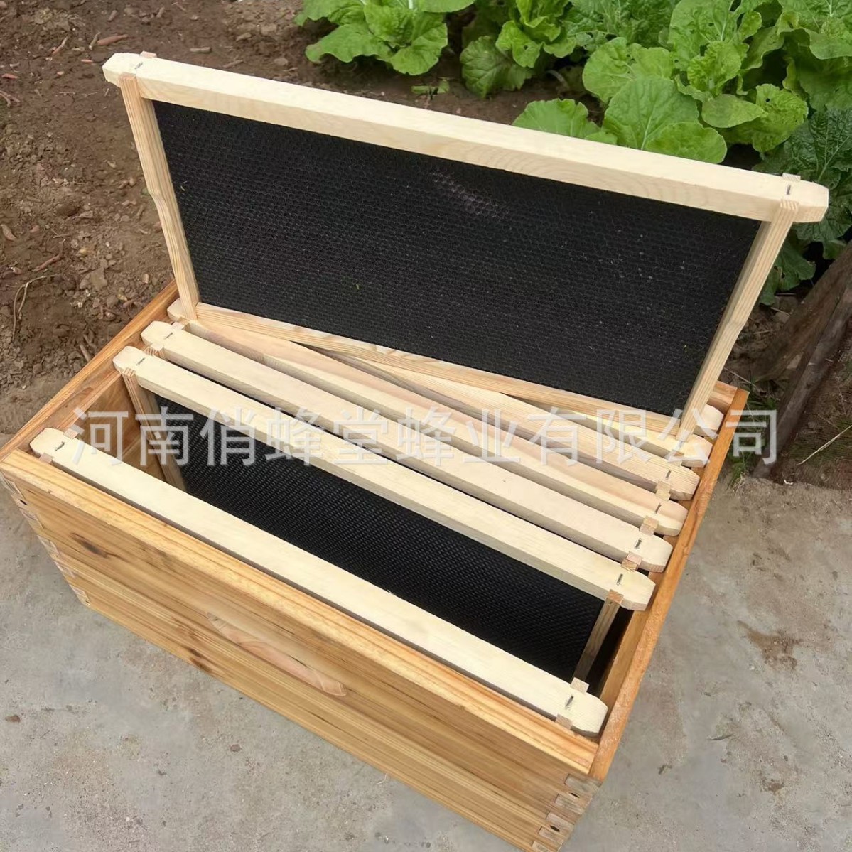 Herramientas de Apicultura de  - Beehive Frame Wax reseña y precio