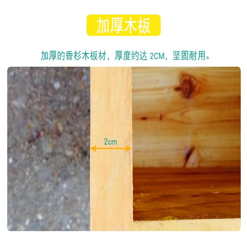 Colmena de abejas en caja de a - Beehive Frame Wax reseña y precio