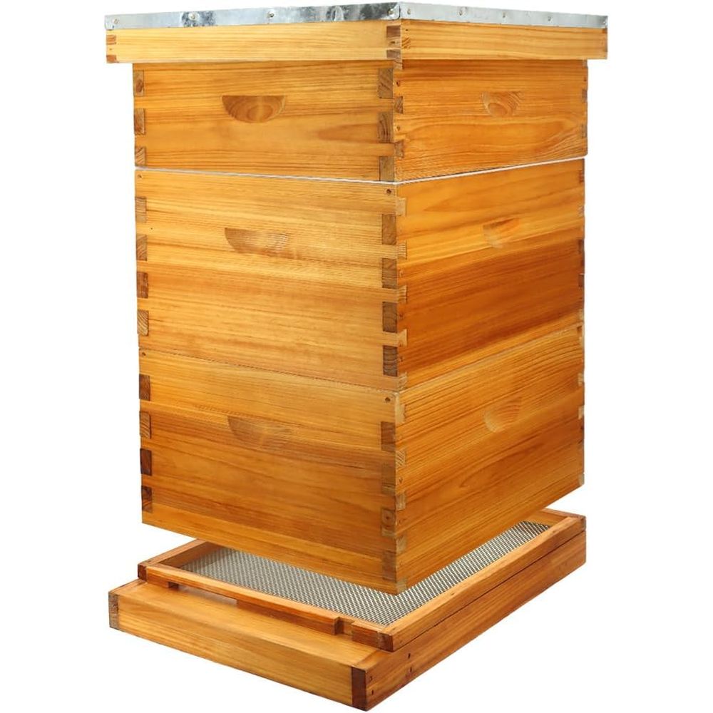 Kit de colmena de 10 cuadros c - Beehive Frame Wax reseña y precio