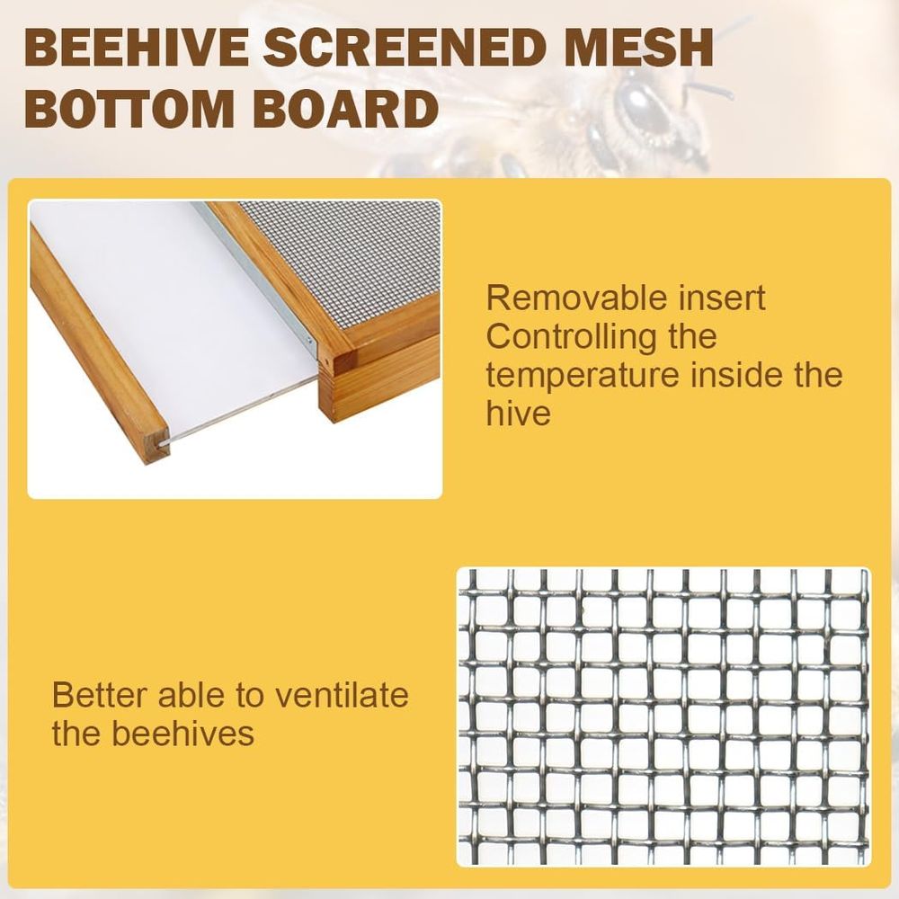 Kit de colmena de 10 cuadros c - Beehive Frame Wax reseña y precio