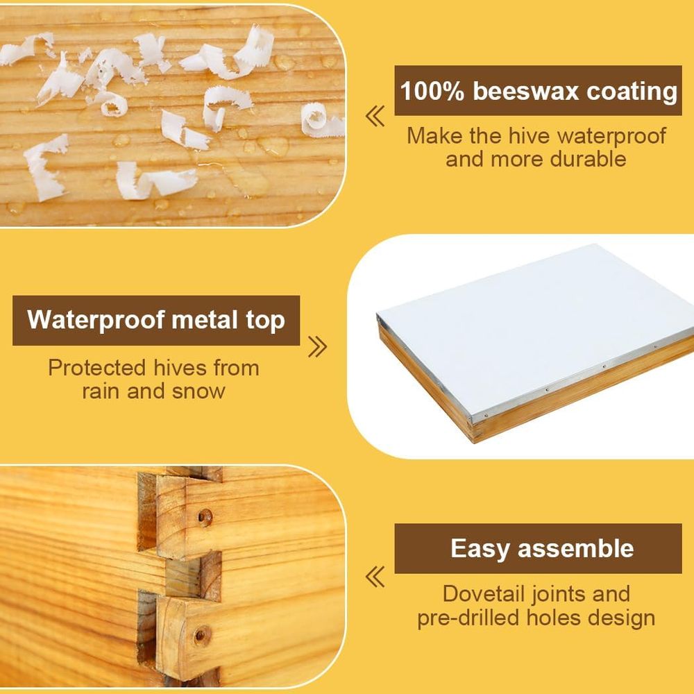 Kit de colmena de 10 cuadros c - Beehive Frame Wax reseña y precio