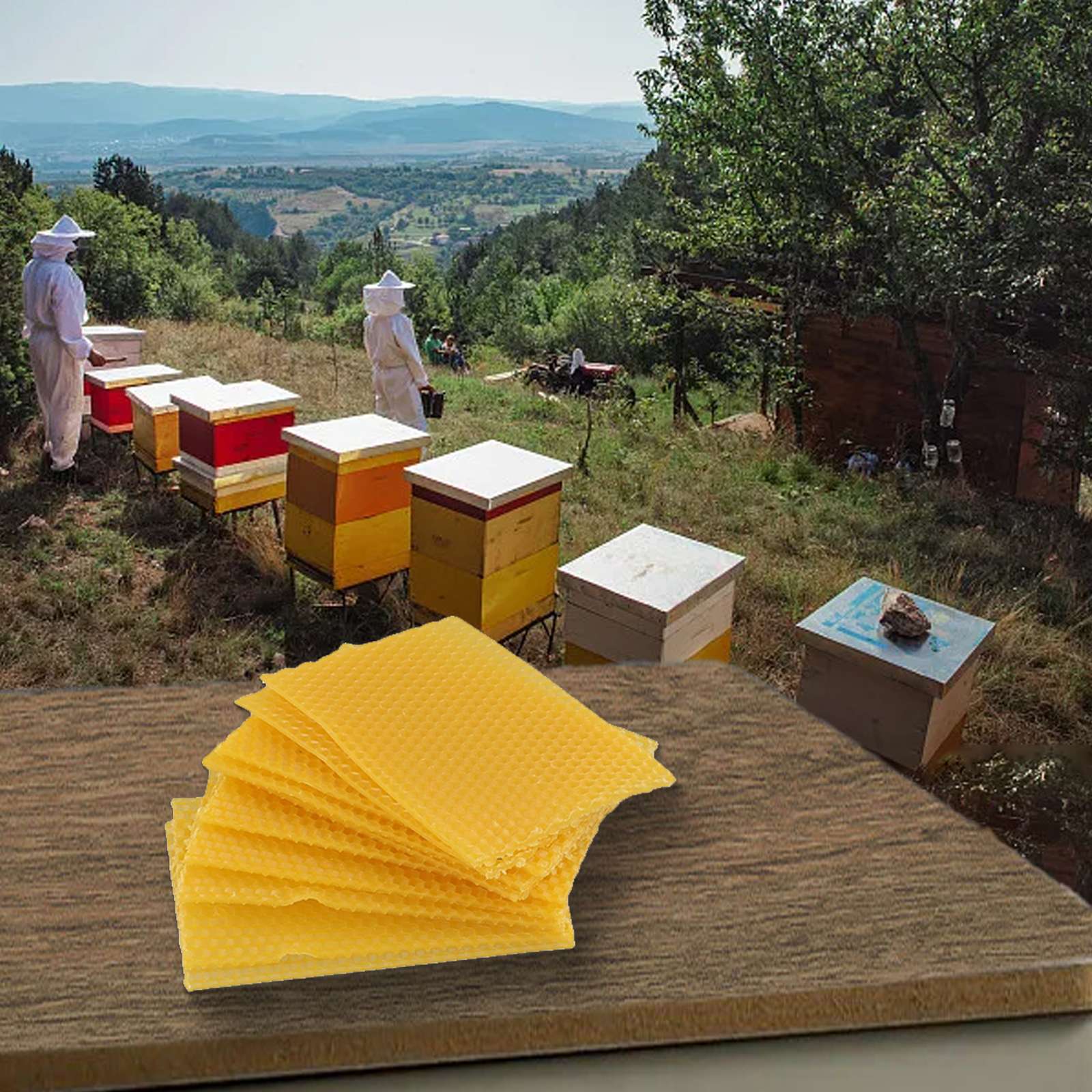Marcos de cera para colmenas d - Beehive Frame Wax reseña y precio