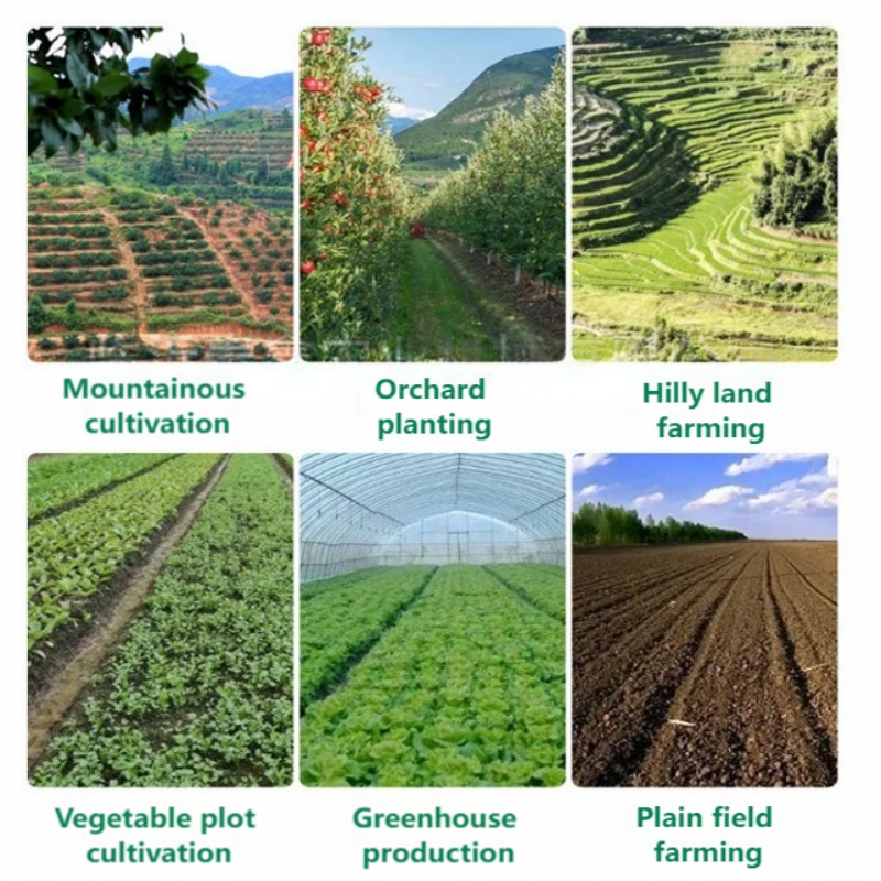 Sembradora manual de hortaliza - Farming Agriculture Tools reseña y precio