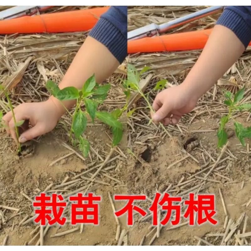 Trasplantadora de Plántulas Ag - Farming Agriculture Tools reseña y precio